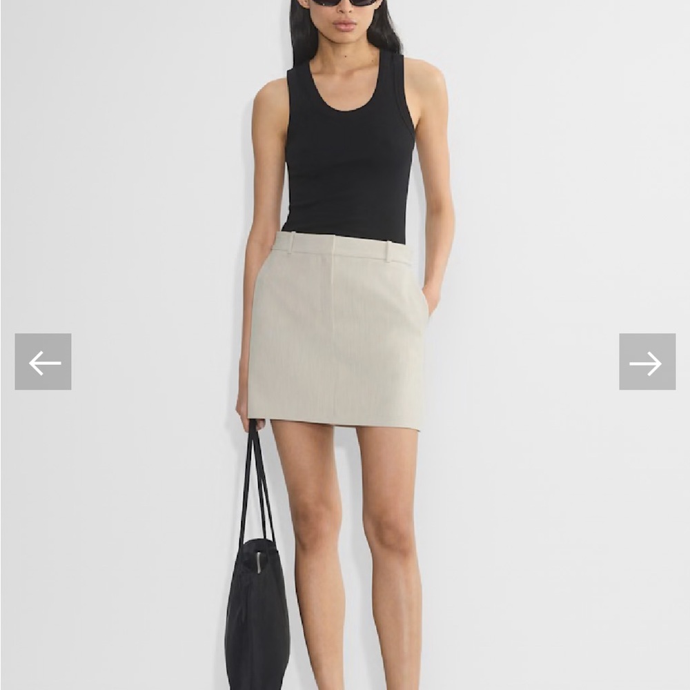 Aritzia Babaton Chisel Skirt